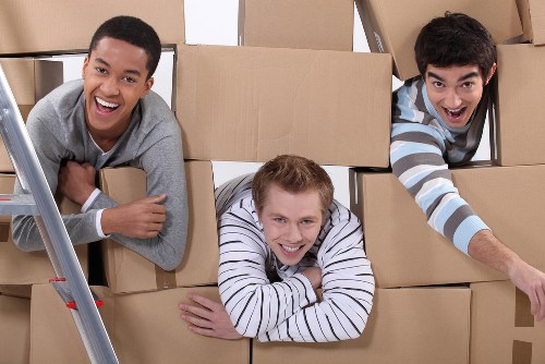 Inclusive digital access for Hollandpark Removals visitors
