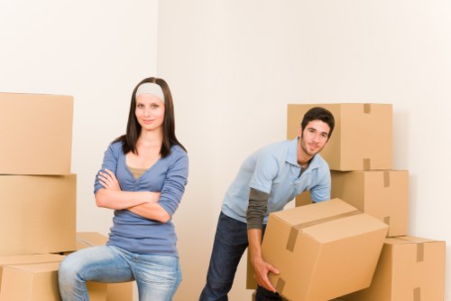 Commercial packing boxes and supplies for an office move in Hollandpark