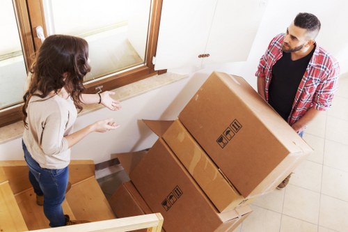 User adjusting cookie preferences on a website for Hollandpark Removals