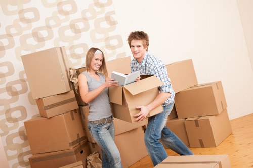 Packed household items prepared for a safe move in Hollandpark