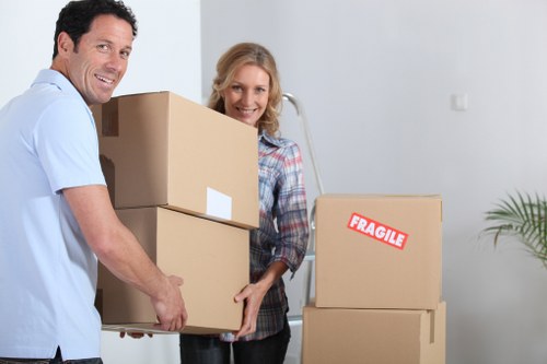 Packed boxes and bags for student removals in Hollandpark