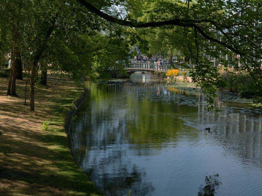 A calm, scenic view of a residential area near a small lake, with a brick house featuring large windows and a sloped roof situated among trees and shrubs on the opposite side of the water. Bare branch